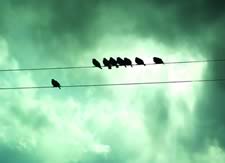 Northern Lights - Dubh agus Geal
